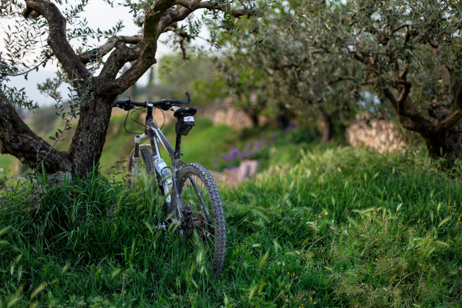 Giro del Lago di Orta in Bicicletta